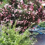 Appartement Enrica